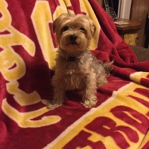 Meet your Posher, Loretta